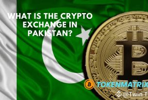 What is the crypto exchange in Pakistan?